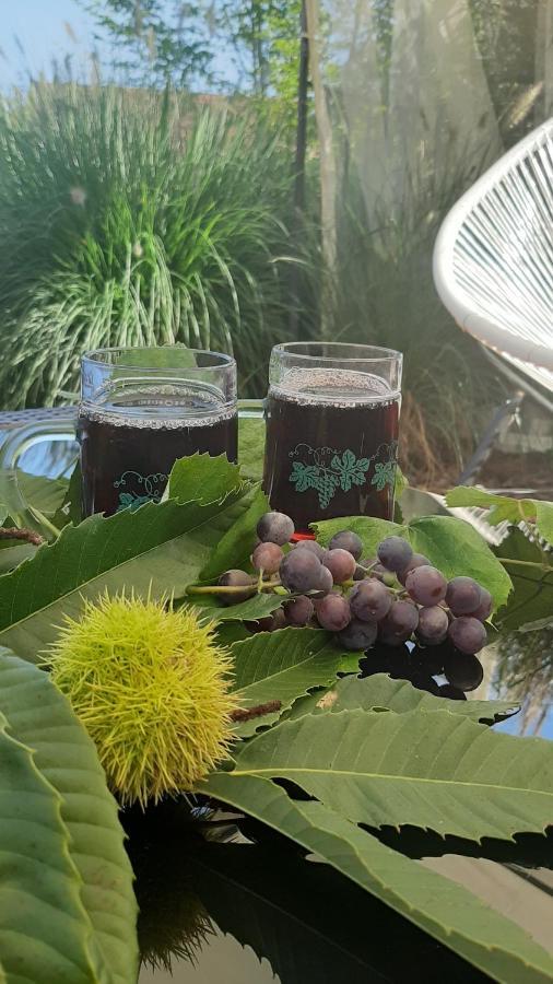 Hotel Garni Landhaus Florian 바드블루마우 외부 사진