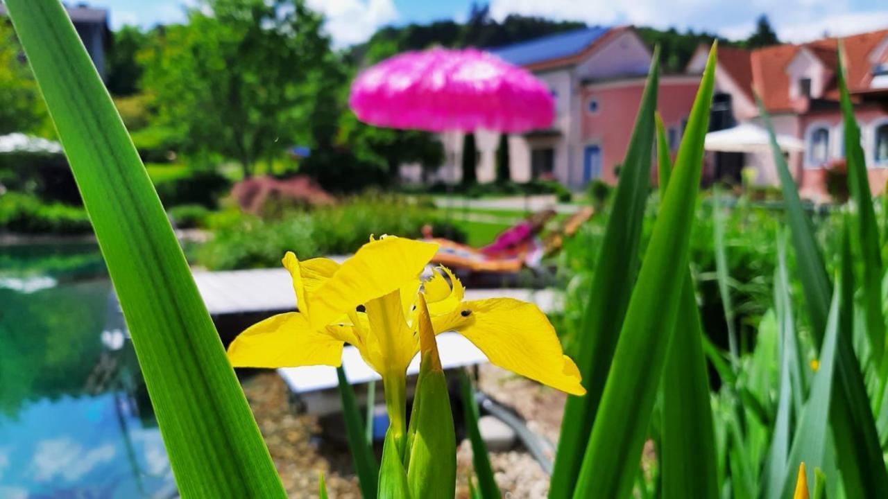 Hotel Garni Landhaus Florian 바드블루마우 외부 사진